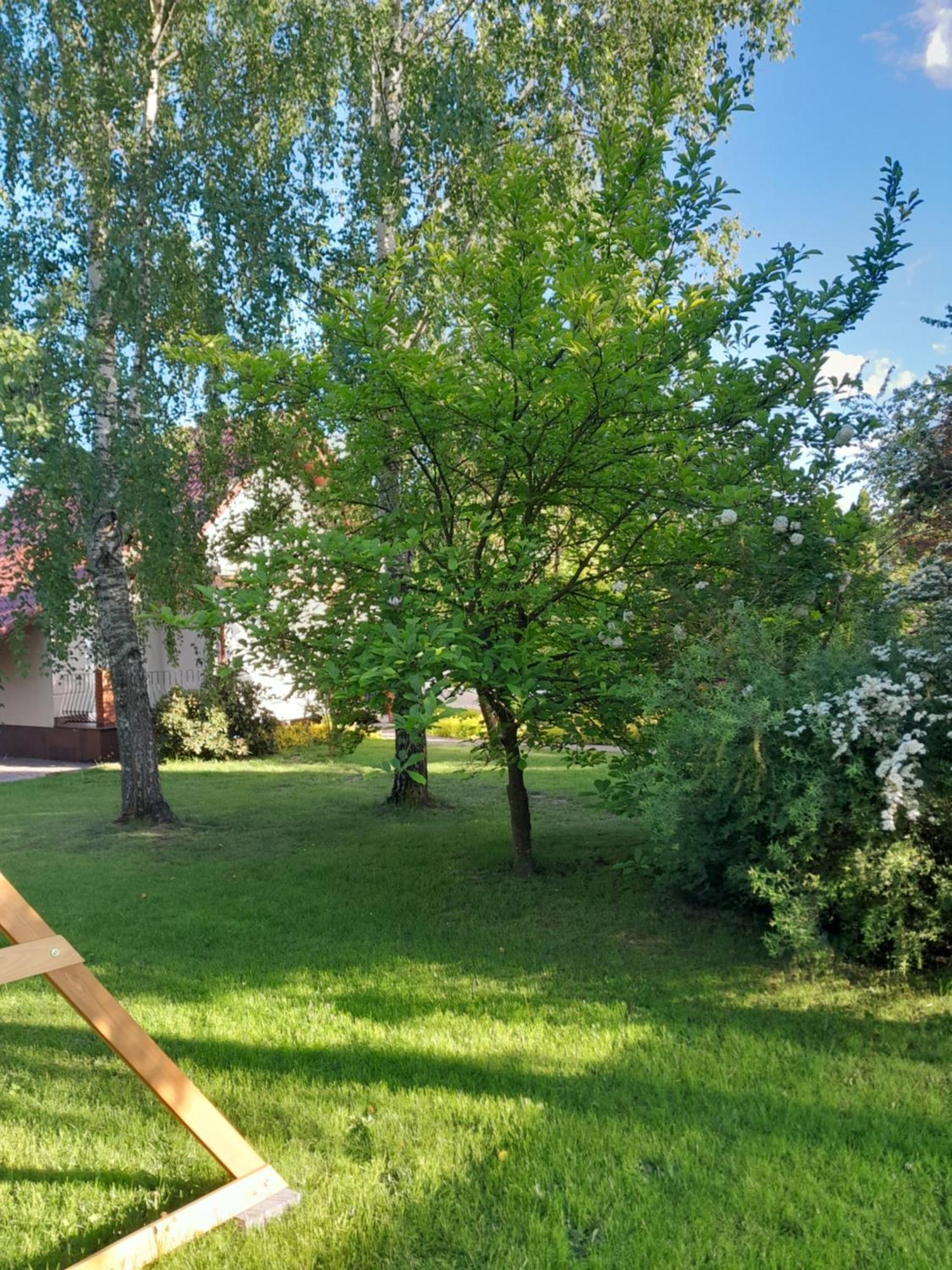 Domek Pod Brzozami Z Jacuzzi ,Grillem I Tarasem Przemyśl Exteriör bild